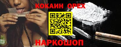 крисы Гусев